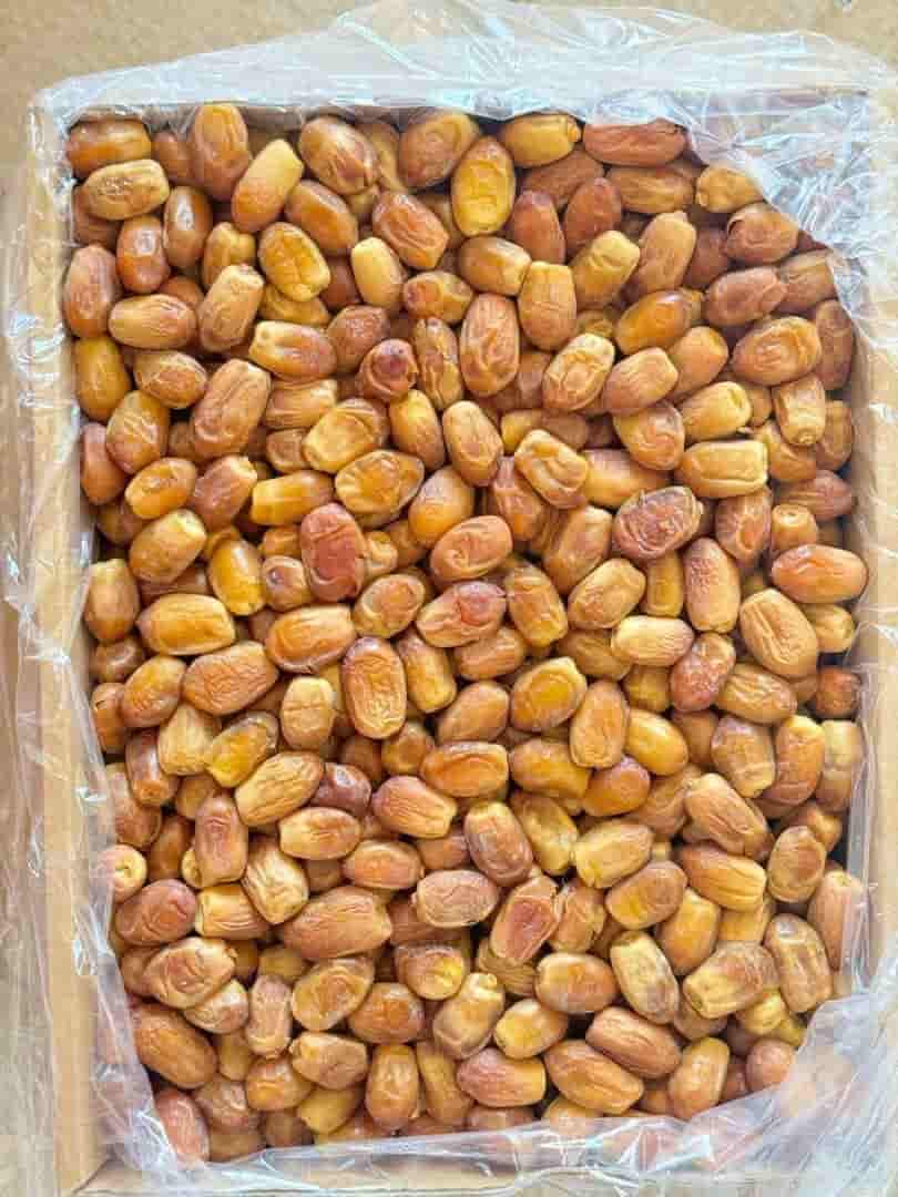 تصویر 3 از فروش خرما زاهدی تازه + قیمت خرید به صرفه